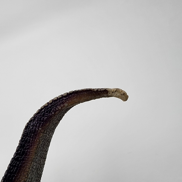 Papo Tyrannosaurus Rex Dinosaur Figure Prehistoric Collectible Hand Paint - Picture 7 of 12